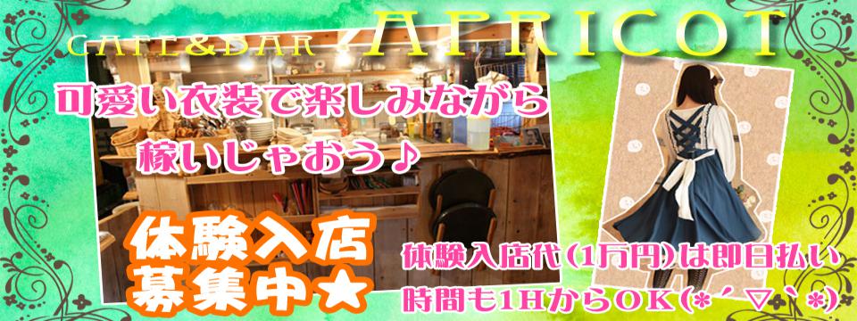 【NEW】CAFE&BAR APRICOT アプリコット【OPEN】