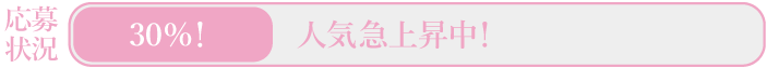 応募状況30%